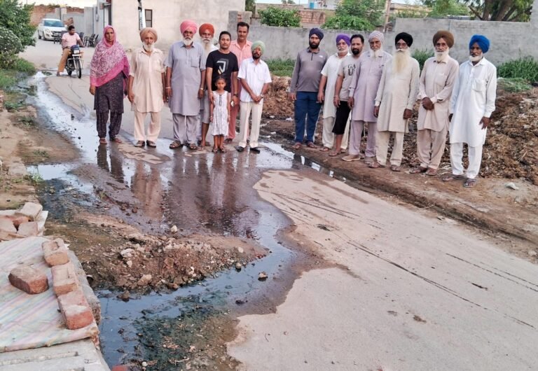 ਨਰਕ ਭਰੀ ਜਿੰਦਗੀ ਜਿਉਣ ਲਈ ਮਜਬੂਰ ਹਨ ਪਿੰਡ ਮੱਲ੍ਹਾ ਵਾਸੀ